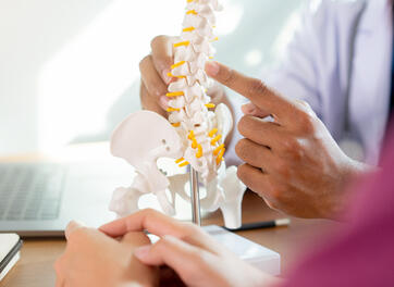 Wirbelsäulenerkrankungen (Bild: Shutterstock)