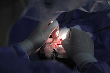 Neuroonkologie (Bild: Shutterstock)