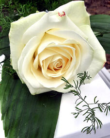 Bild: Klinikseelsorge Singen.